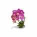 Orhidee cu aspect natural in ghiveci dreptunghiular ceramica alb, H 33 cm / CD3763-fuscia