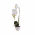 Orhidee cu aspect natural in ghiveci ceramic alb, H 47 cm / CD3545-alb